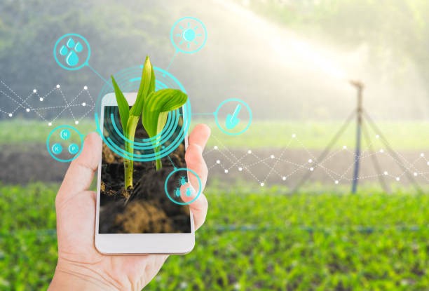 Things You Should Know About Smart Agriculture